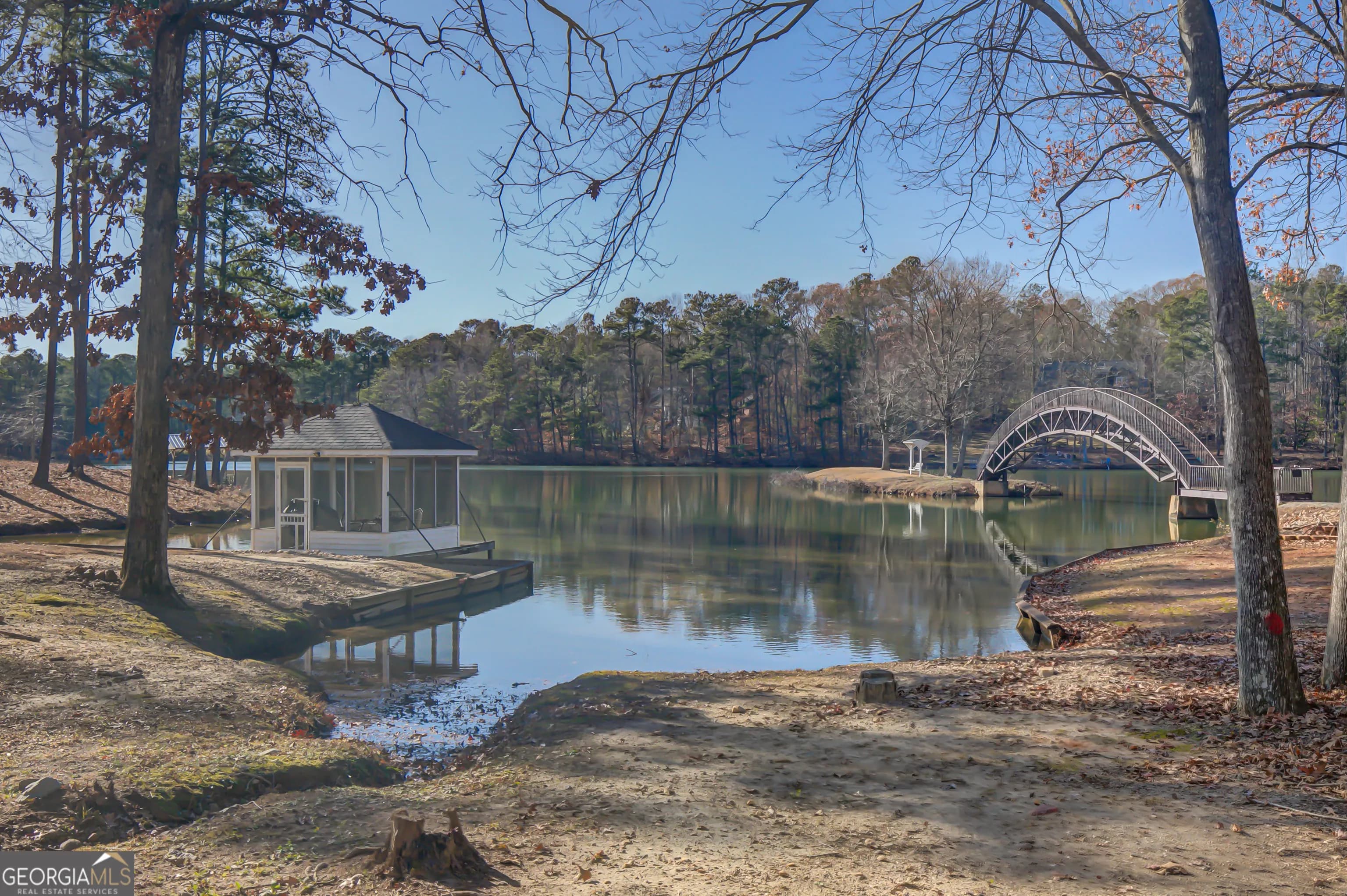 6450 Lake Sara Glen Dr — photo 101 of 107