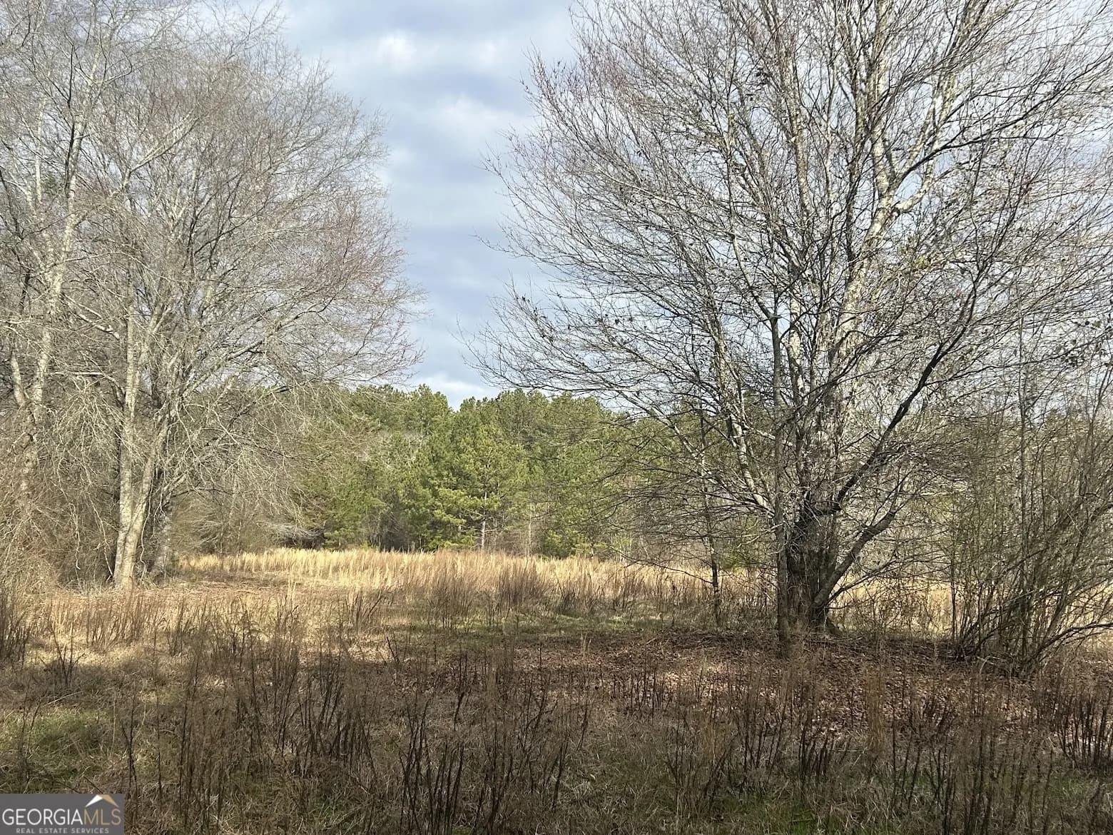 111 Riversong (tract 26) — photo 44 of 72