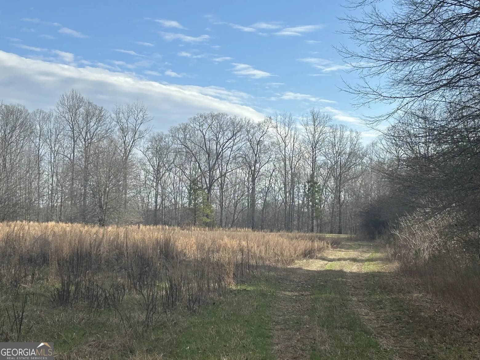 128 River Cove (tract 17) — photo 43 of 72