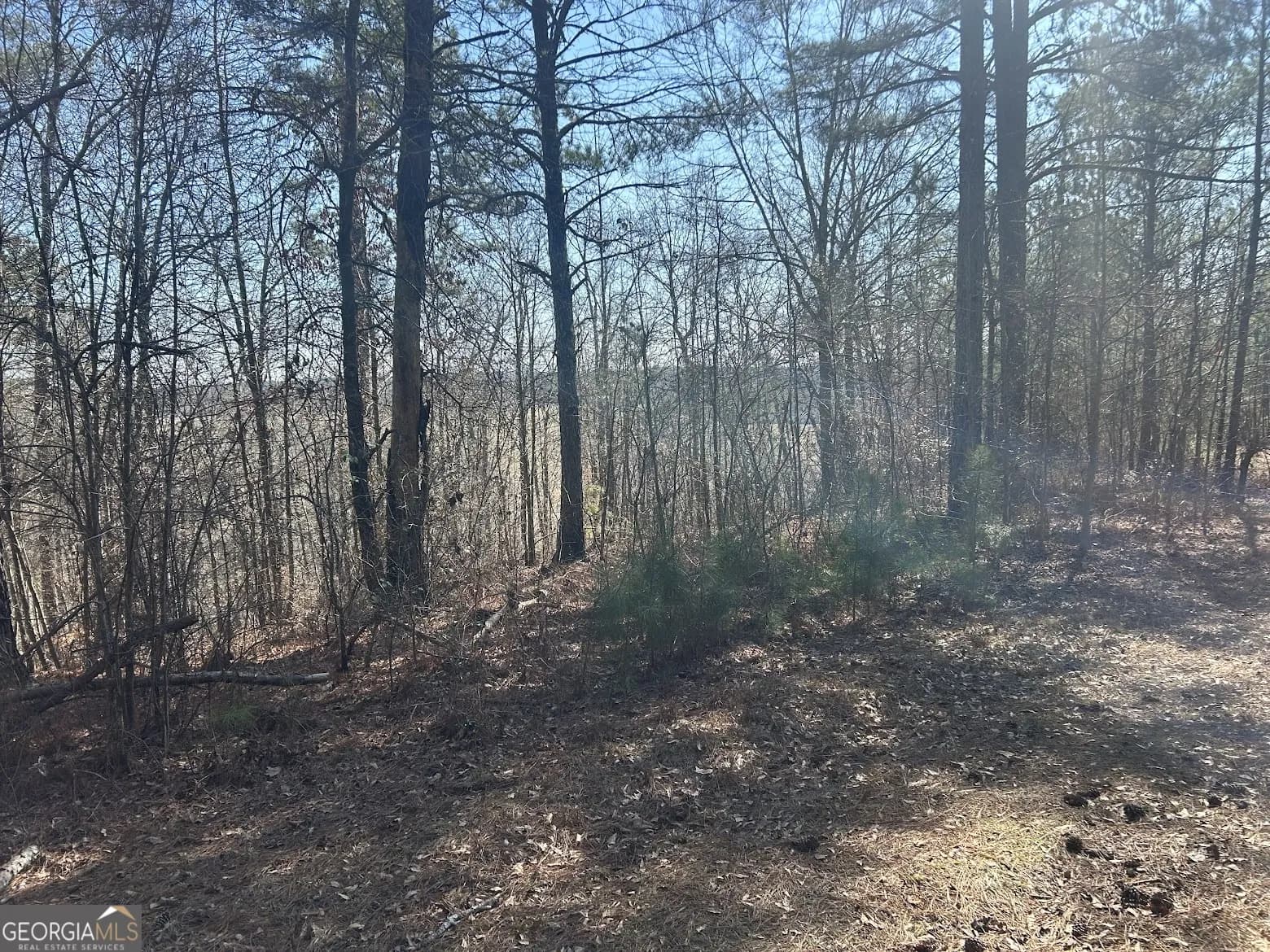 128 River Cove (tract 17) — photo 35 of 72