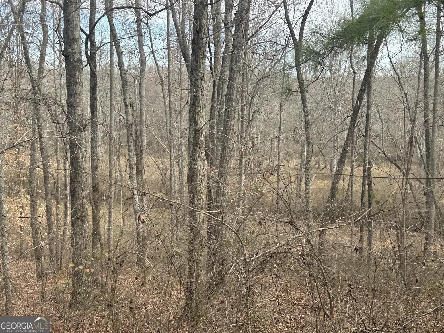 128 River Cove (tract 17) — photo 54 of 72