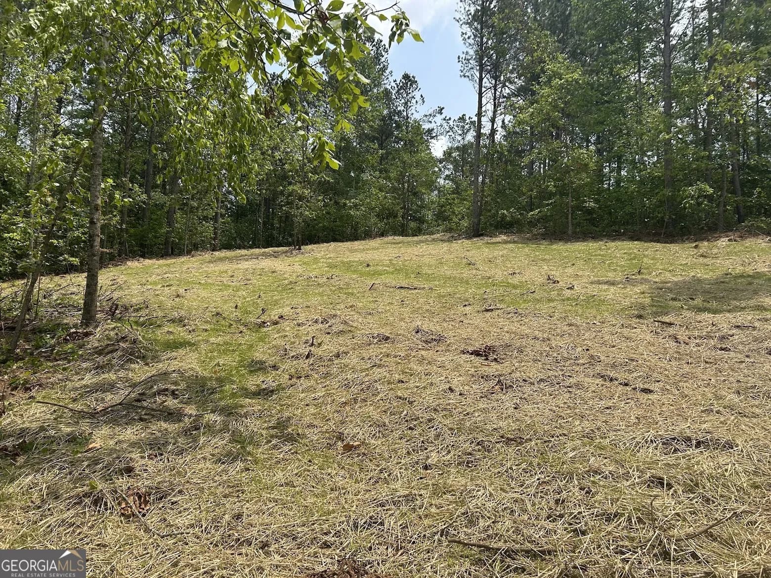 128 River Cove (tract 17) — photo 14 of 72