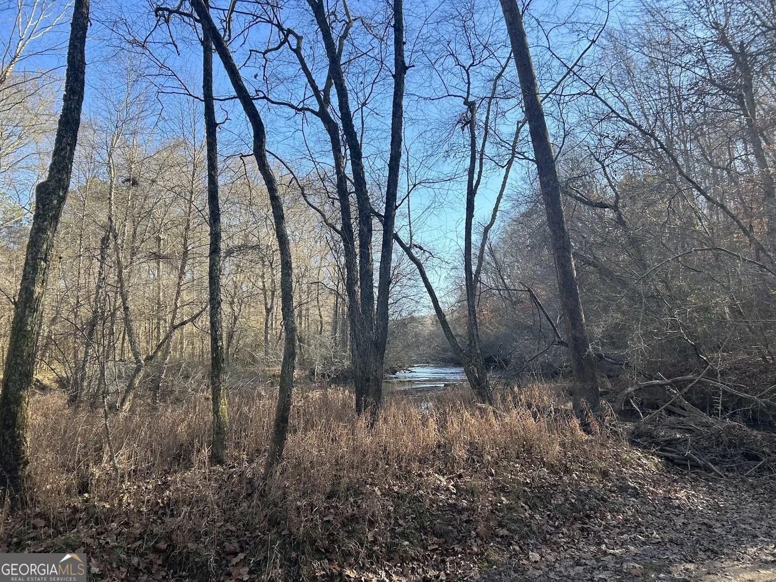 128 River Cove (tract 17) — photo 45 of 72