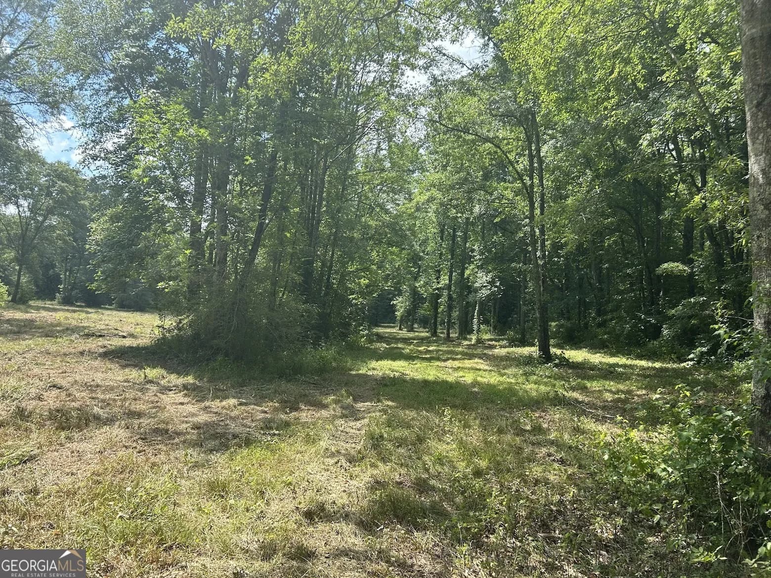 114 River Cove (tract 16) — photo 41 of 72