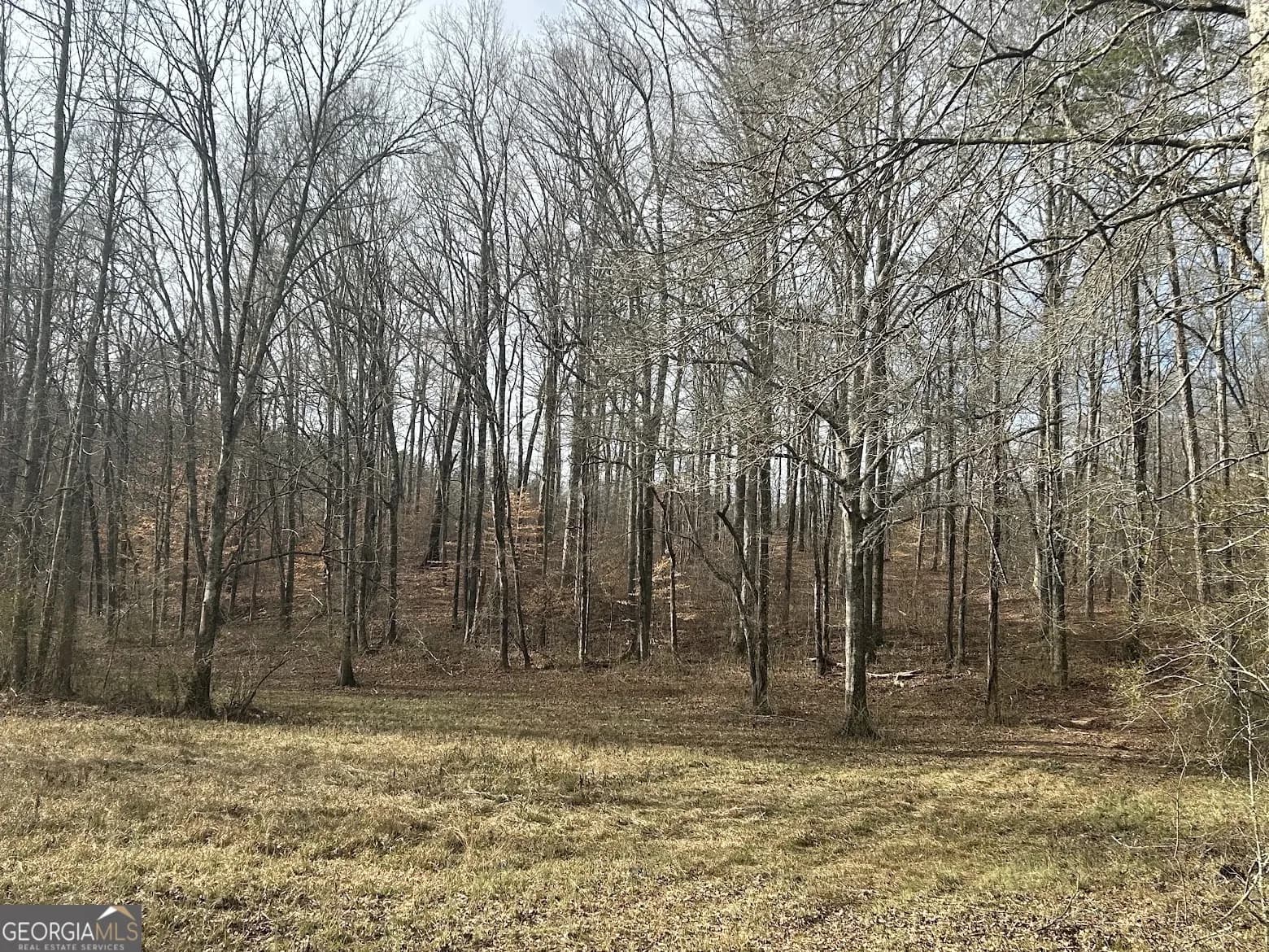 237 Riversong (tract 10) — photo 51 of 72