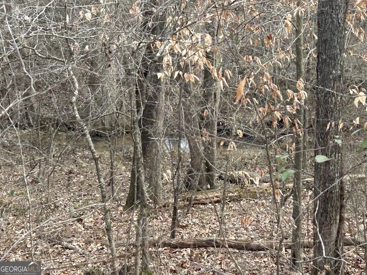 236 Riversong (tract 8) — photo 62 of 72