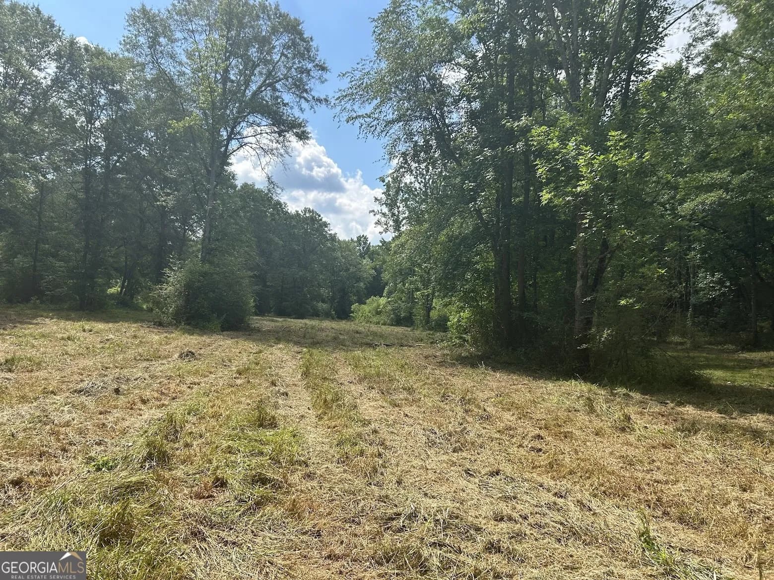 236 Riversong (tract 8) — photo 40 of 72