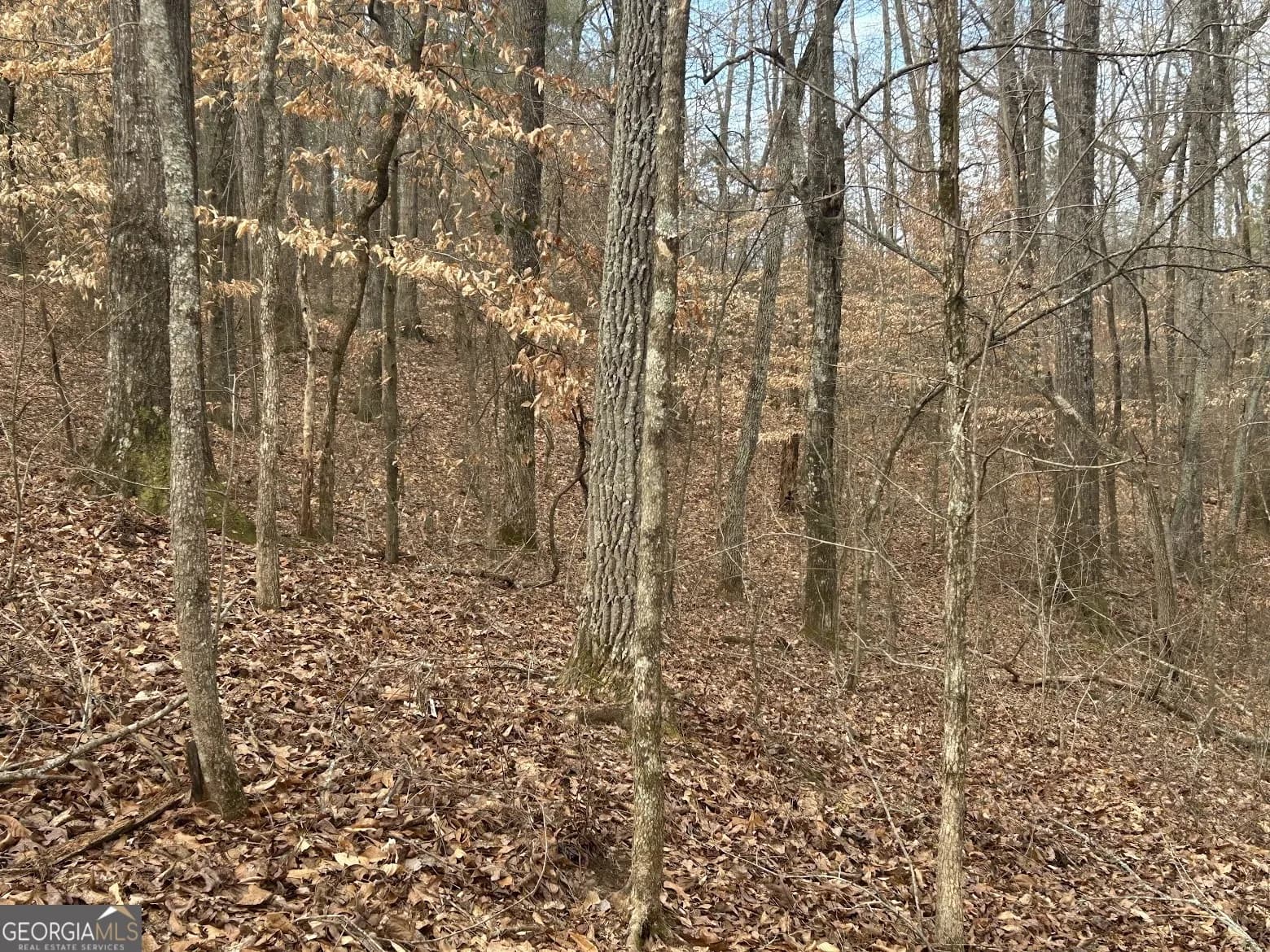 236 Riversong (tract 8) — photo 29 of 72