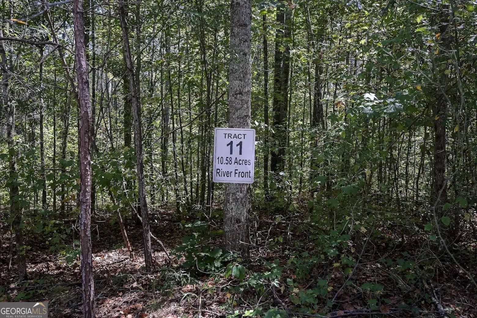 236 Riversong (tract 8) — photo 6 of 72