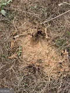 0 Rutledge Rd — photo 5 of 14