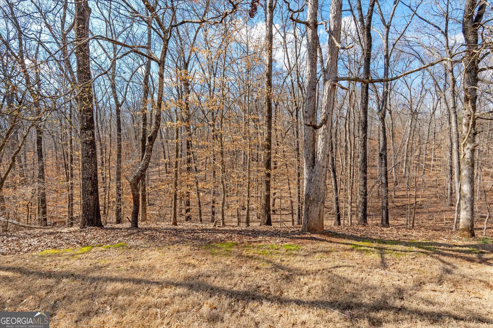 5067 Lazy Acres Dr — photo 45 of 57