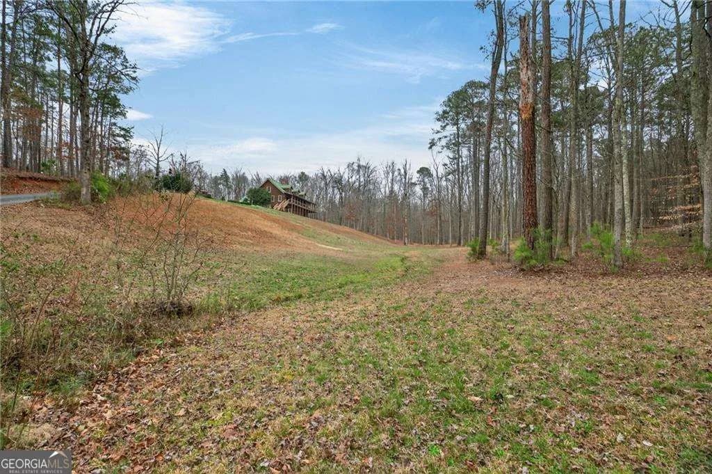7346 Banks Mill Rd — photo 38 of 61