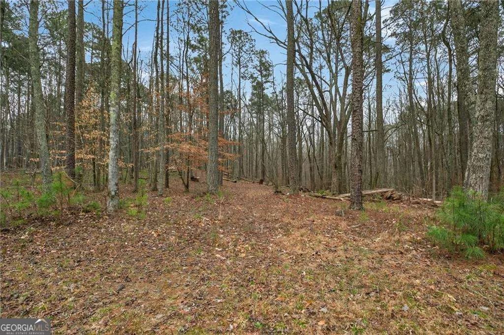 7346 Banks Mill Rd — photo 56 of 61