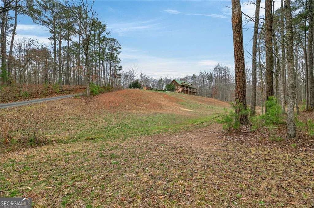 7346 Banks Mill Rd — photo 58 of 61
