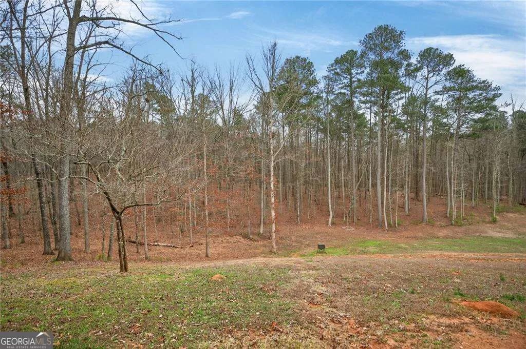 7346 Banks Mill Rd — photo 55 of 61