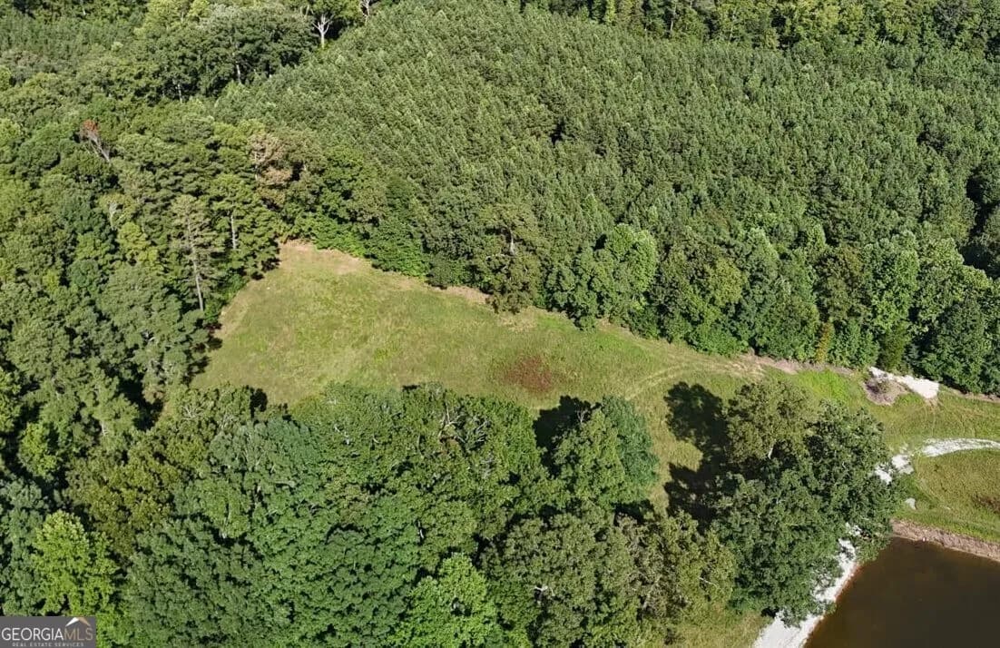 Lot 1 Snote Jones Rd — photo 3 of 16