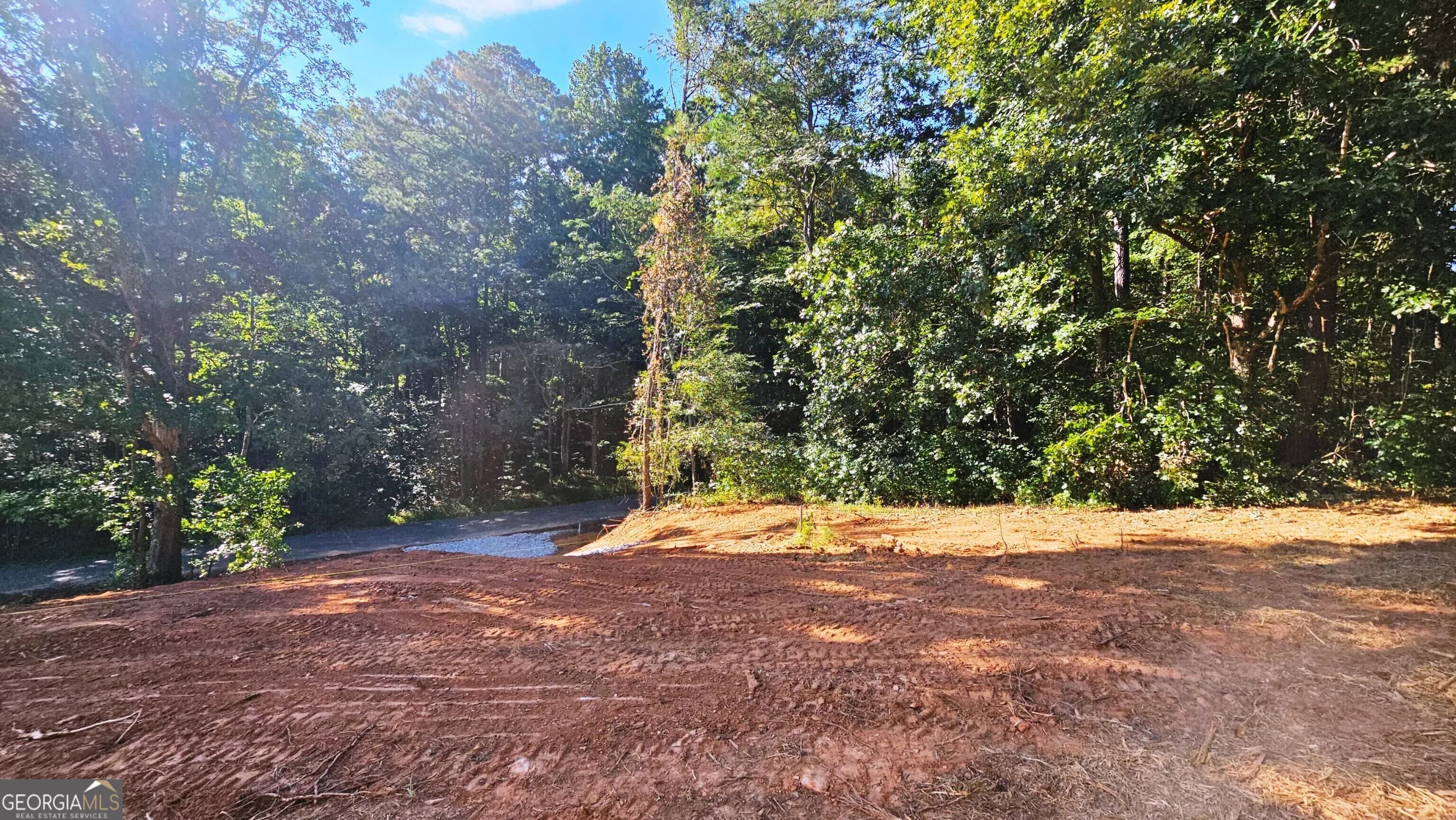 Lot 1 Snote Jones Rd — photo 4 of 16
