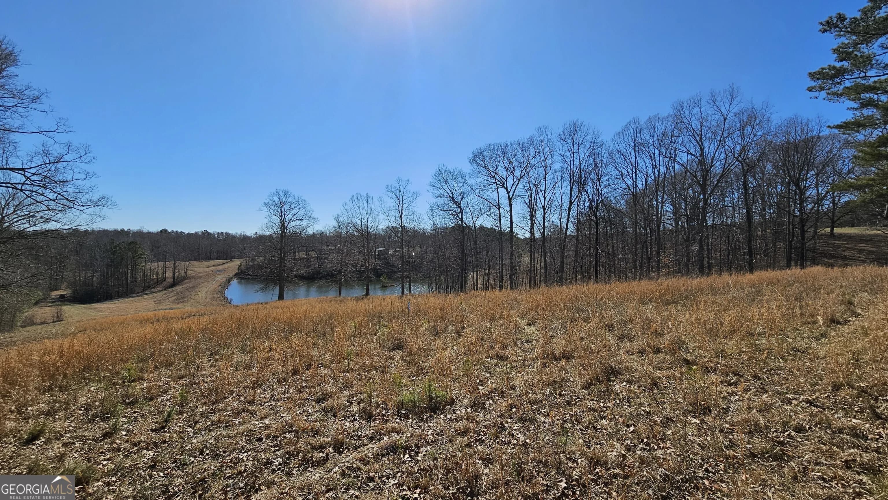 Lot 1 Snote Jones Rd — photo 9 of 16
