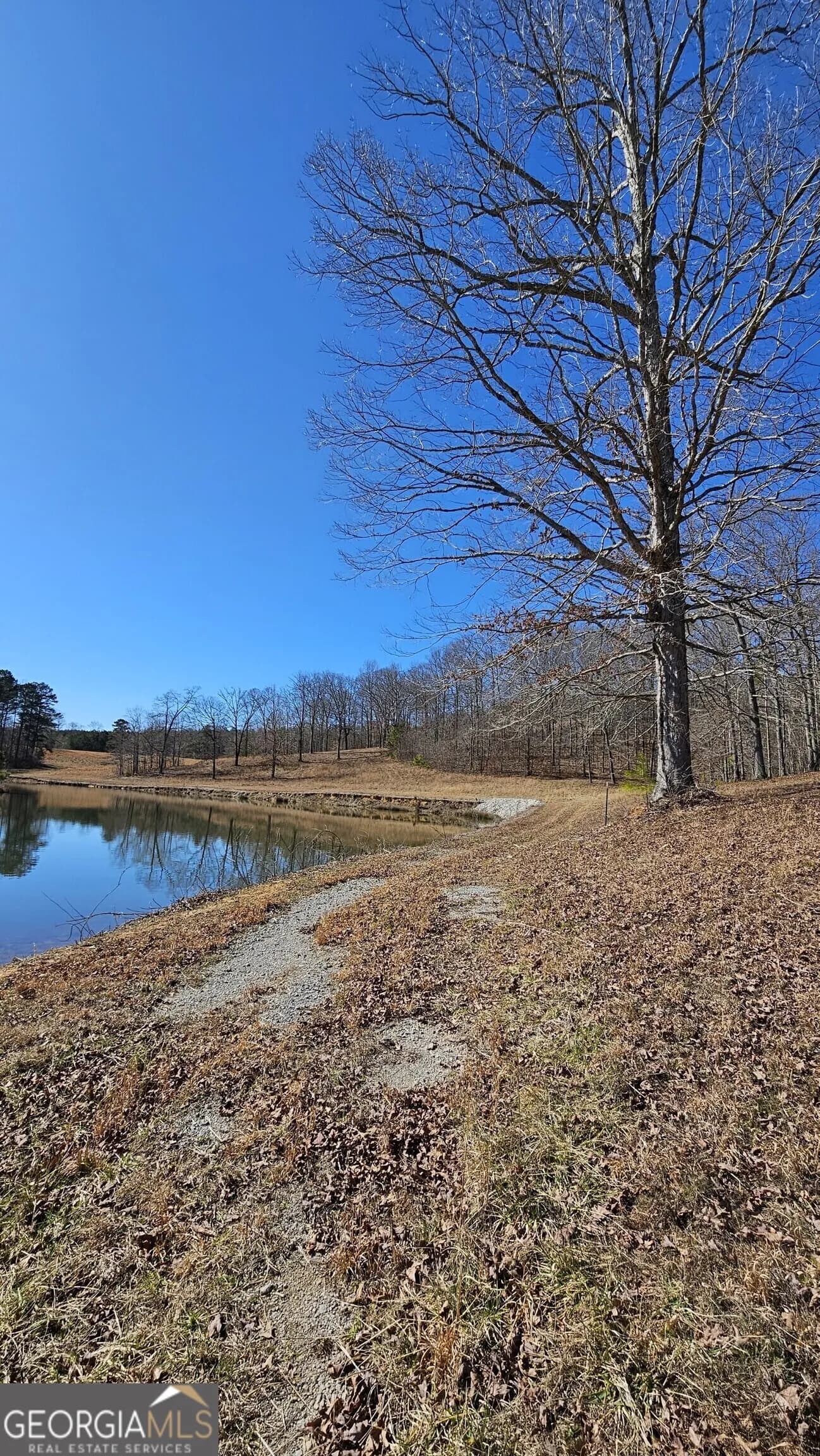 Lot 1 Snote Jones Rd — photo 10 of 16