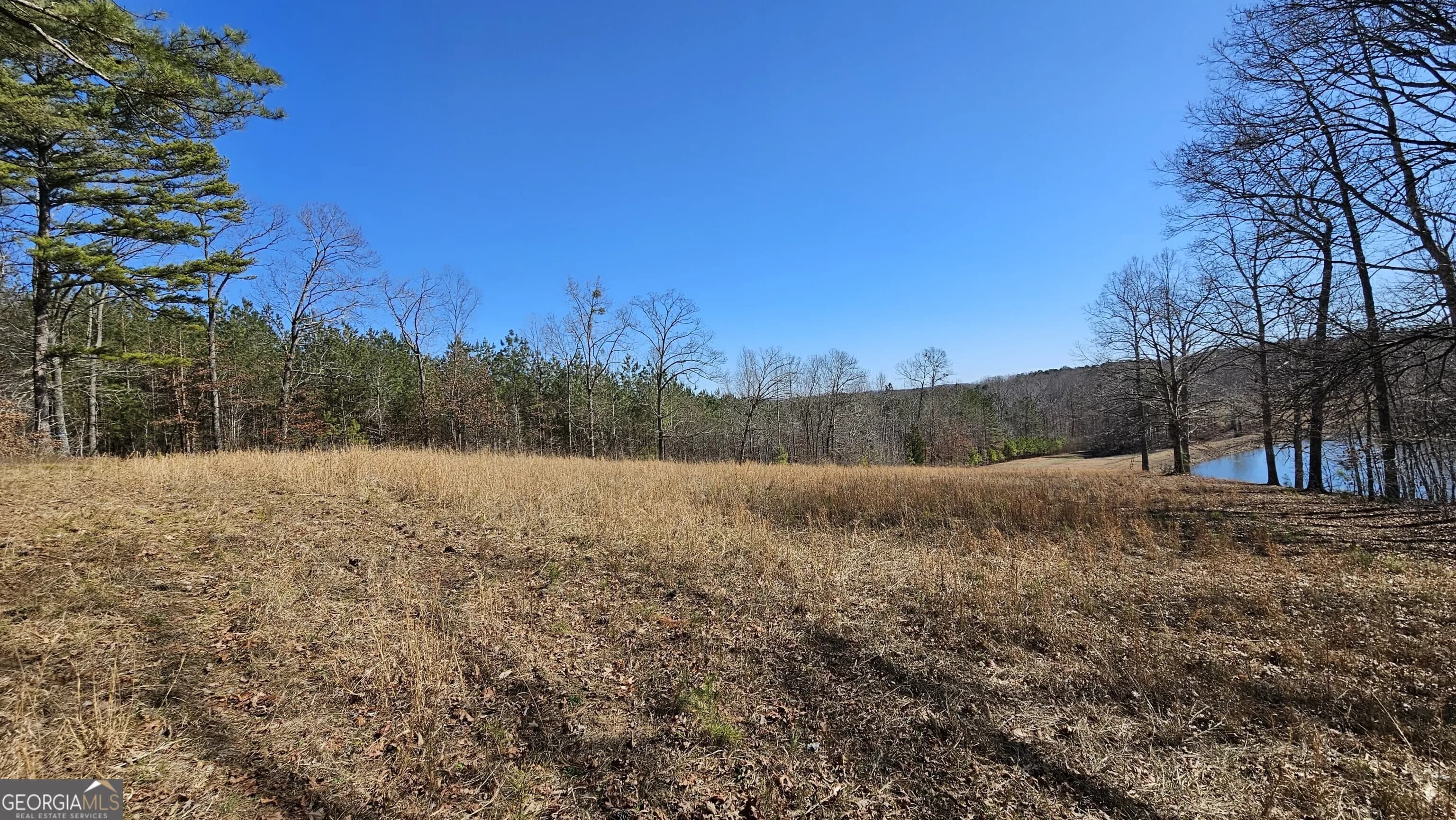 Lot 1 Snote Jones Rd — photo 13 of 16