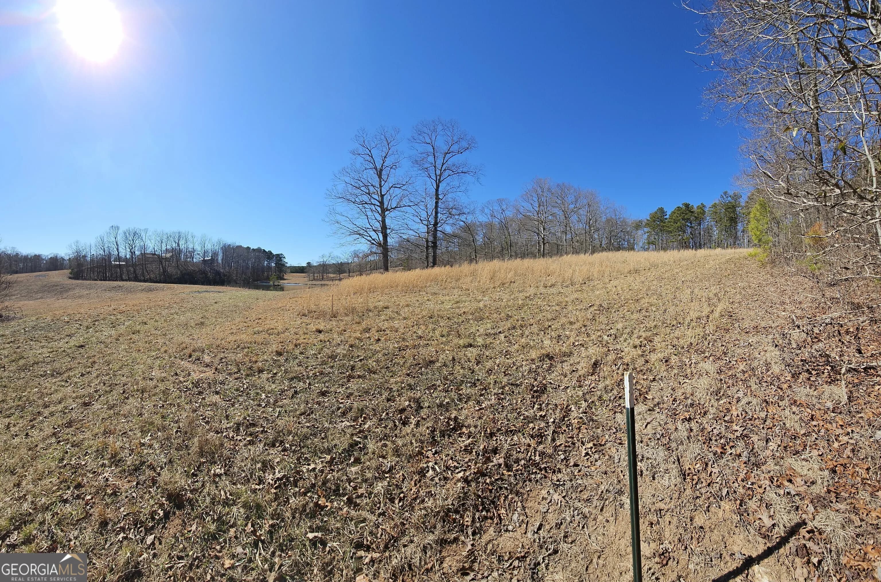 Lot 1 Snote Jones Rd — photo 11 of 16
