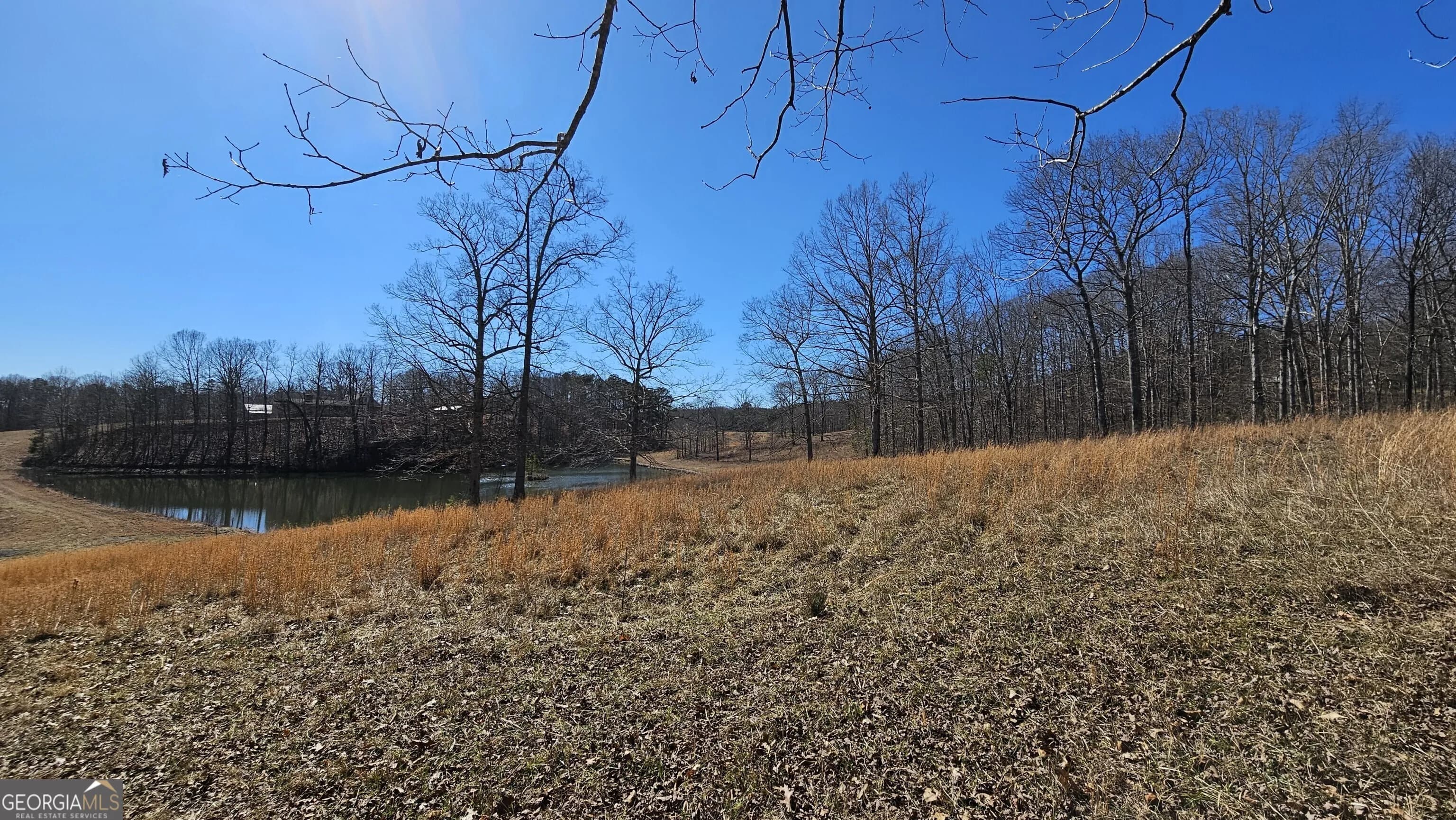 Lot 1 Snote Jones Rd — photo 12 of 16