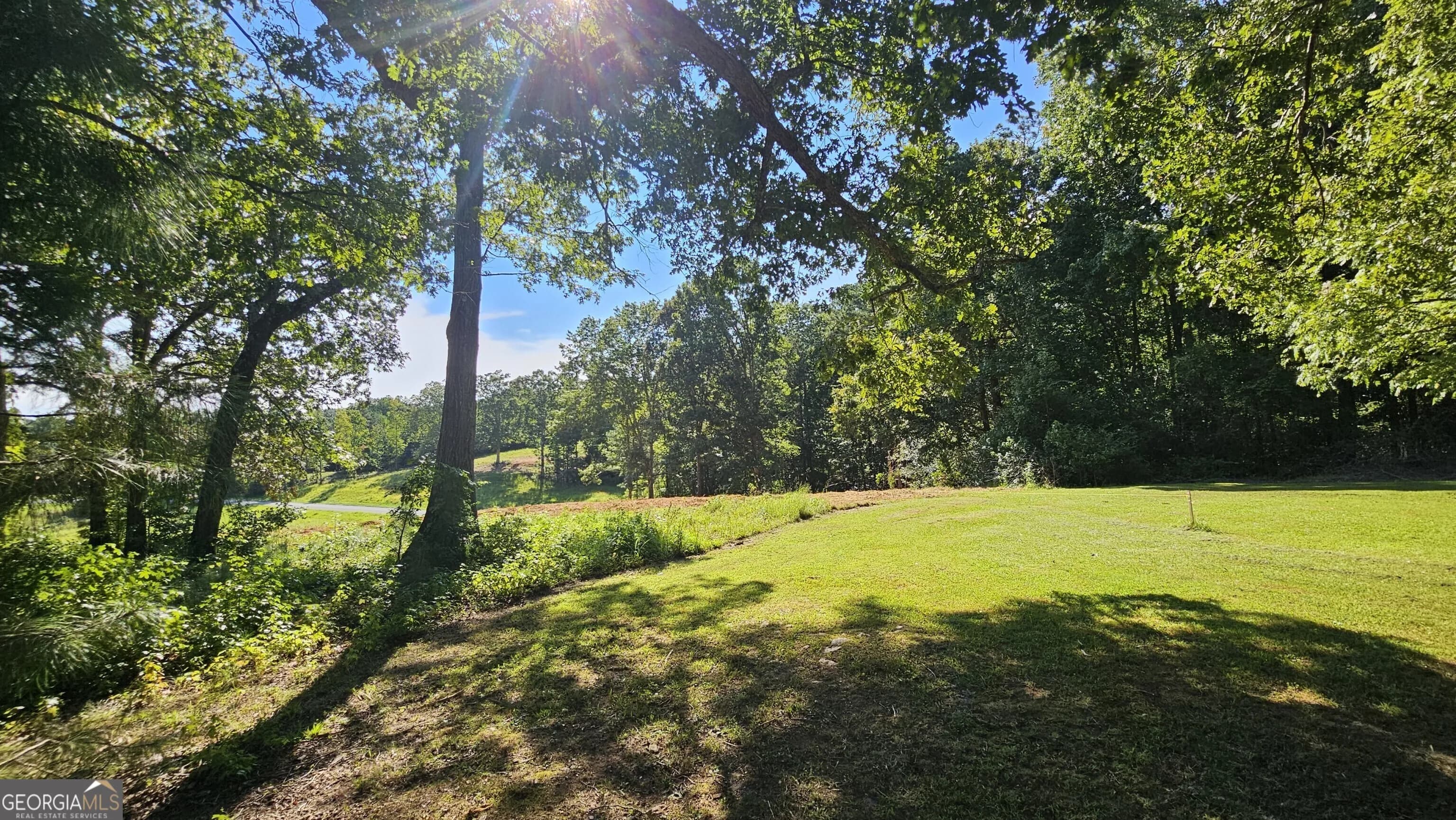 Lot 2 Snote Jones Rd — photo 9 of 22