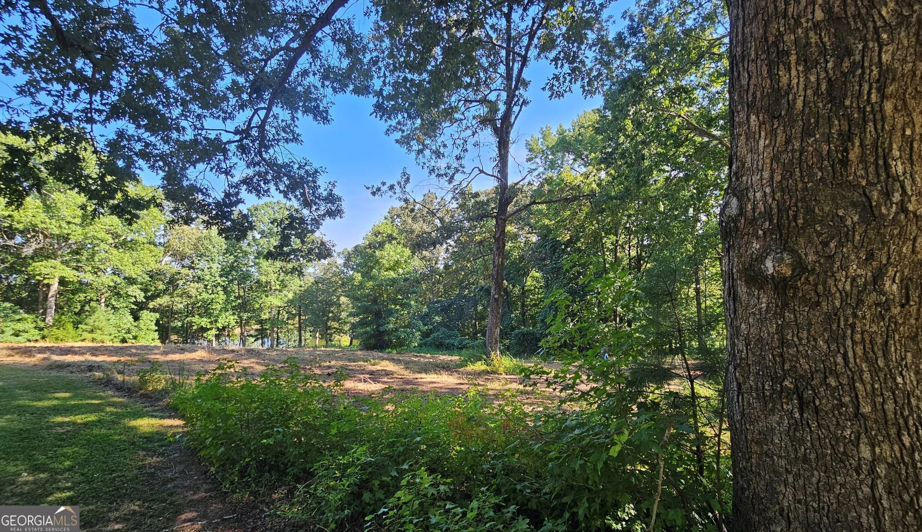 Lot 2 Snote Jones Rd — photo 7 of 22