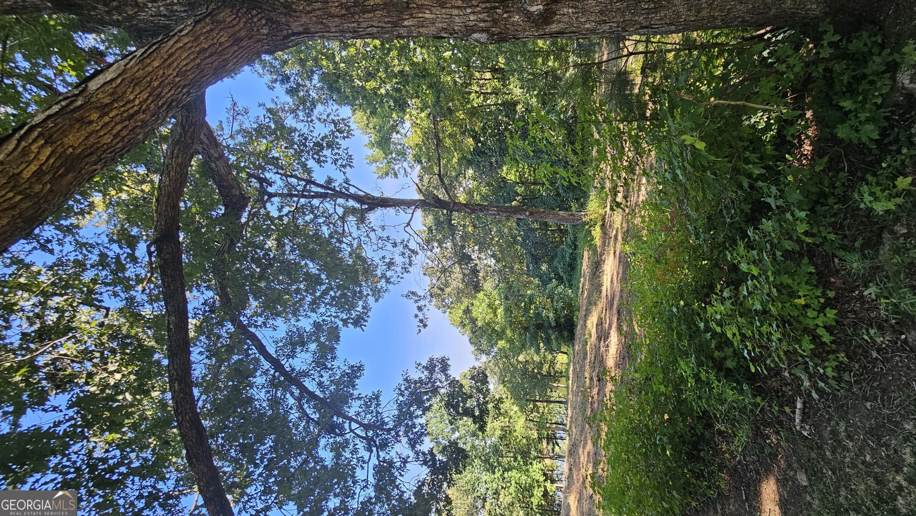 Lot 2 Snote Jones Rd — photo 8 of 22