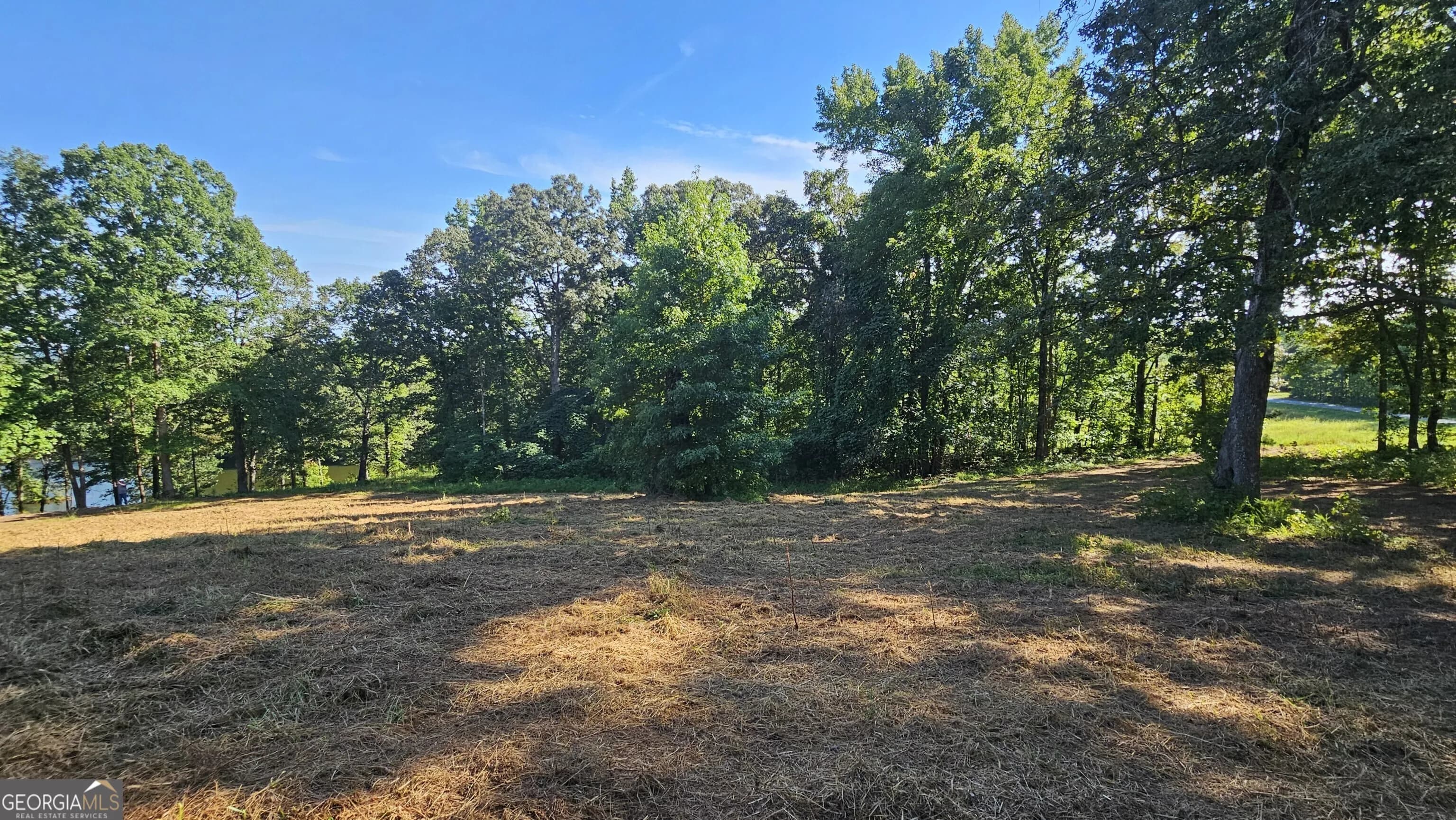 Lot 2 Snote Jones Rd — photo 12 of 22