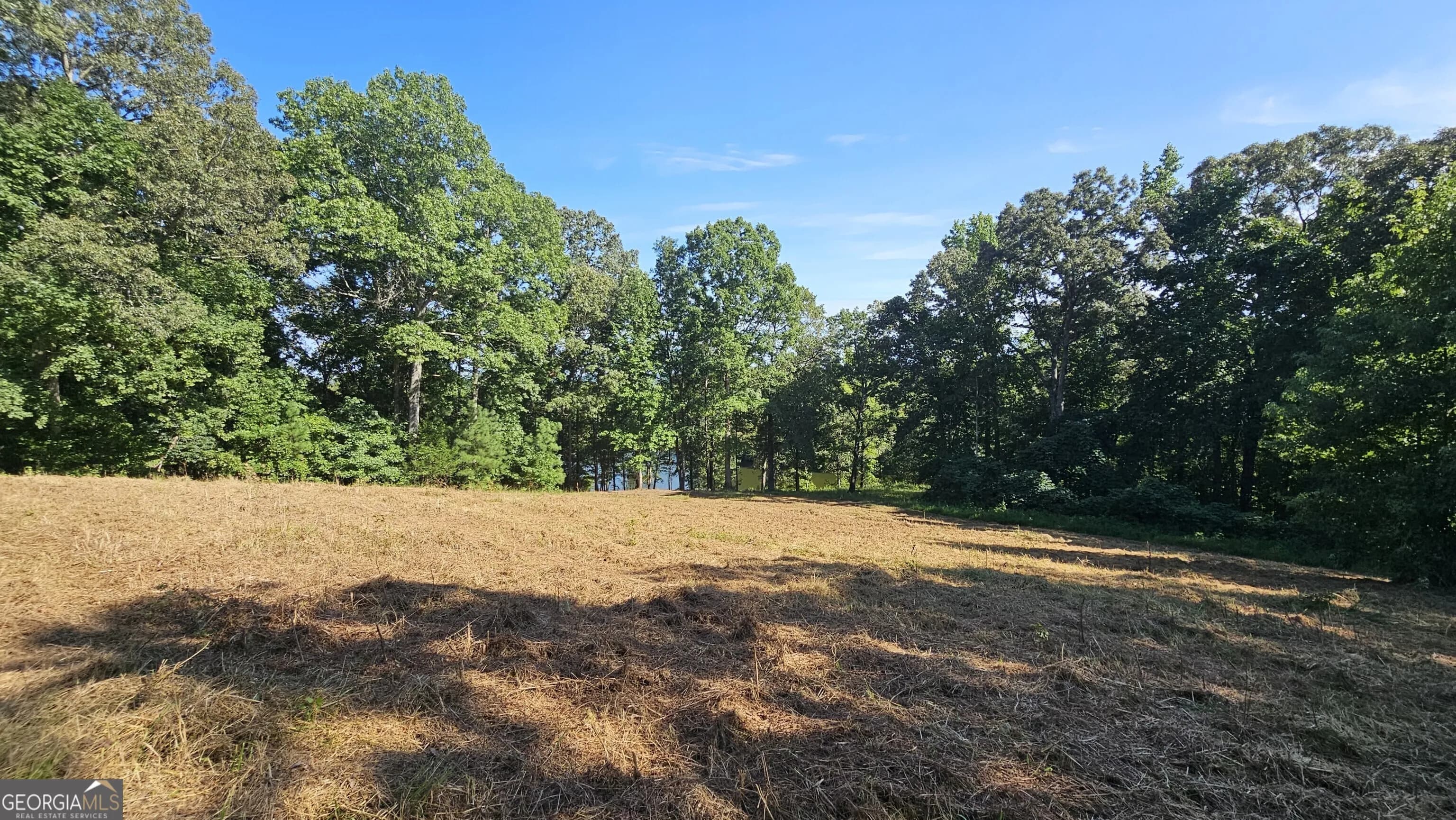 Lot 2 Snote Jones Rd — photo 6 of 22