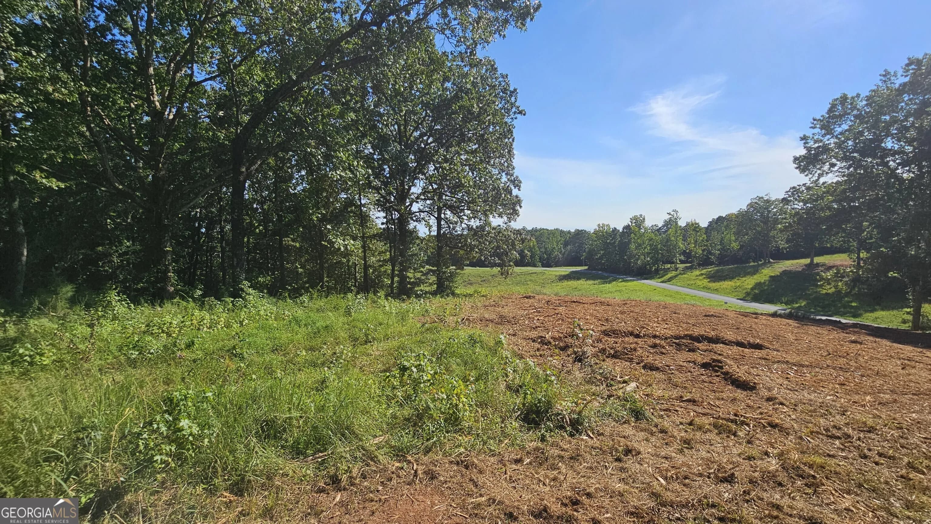 Lot 2 Snote Jones Rd — photo 11 of 22