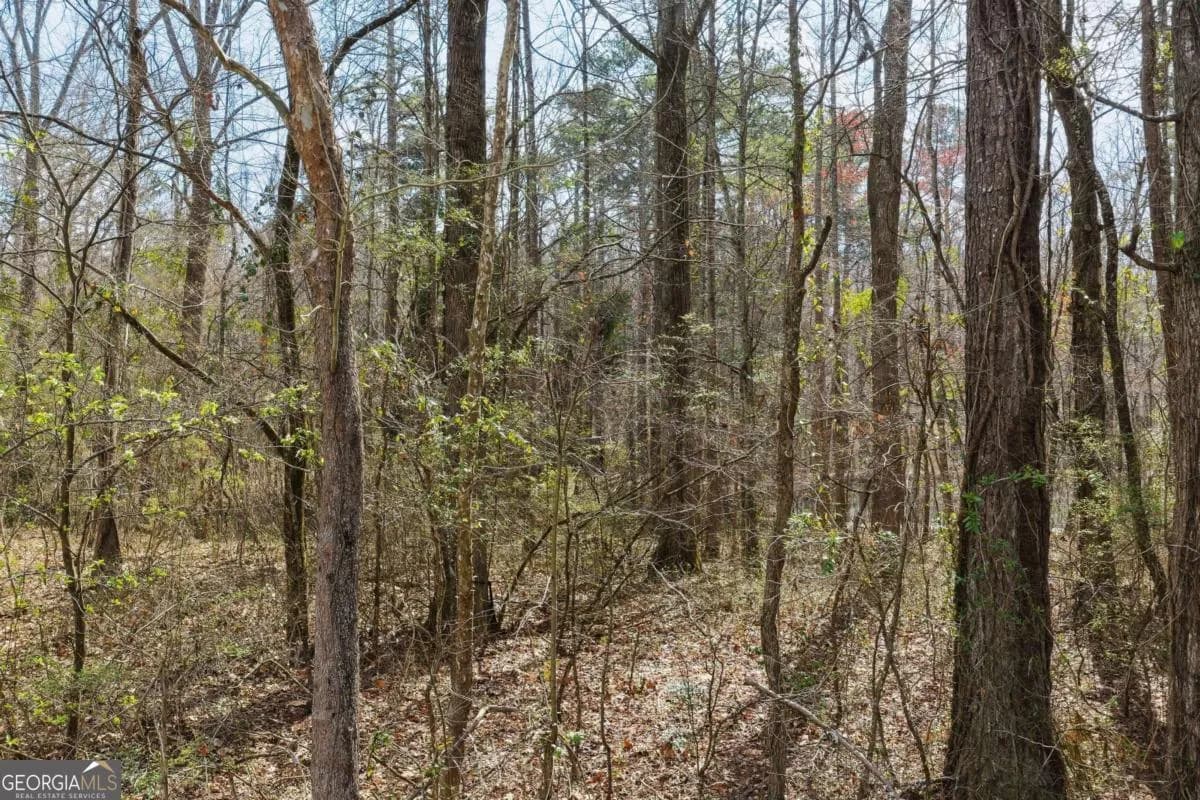 1156 Garmon Rd — photo 41 of 43