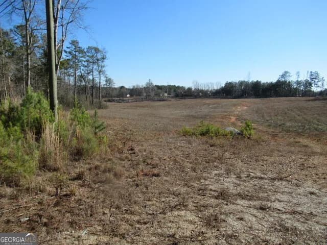 391 Hog Liver Rd — photo 6 of 13