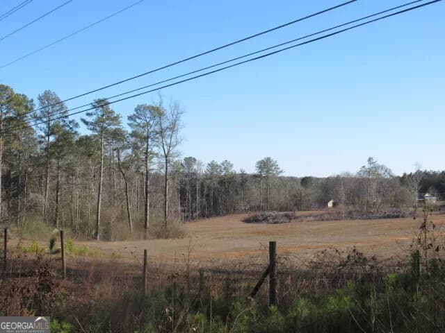 391 Hog Liver Rd — photo 5 of 13