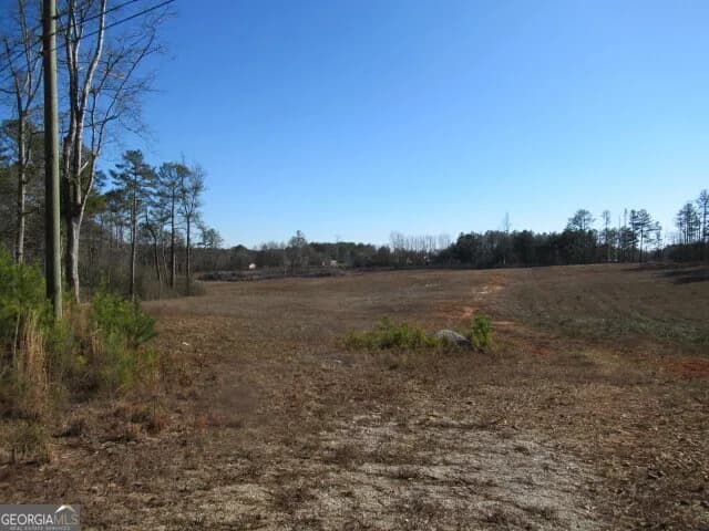 391 Hog Liver Rd — photo 10 of 13