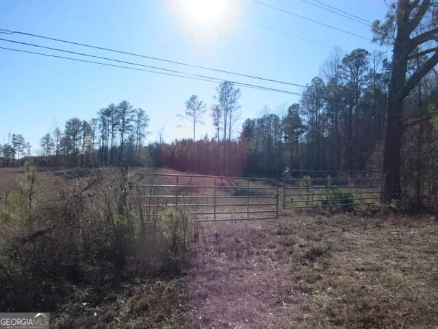 391 Hog Liver Rd — photo 11 of 13