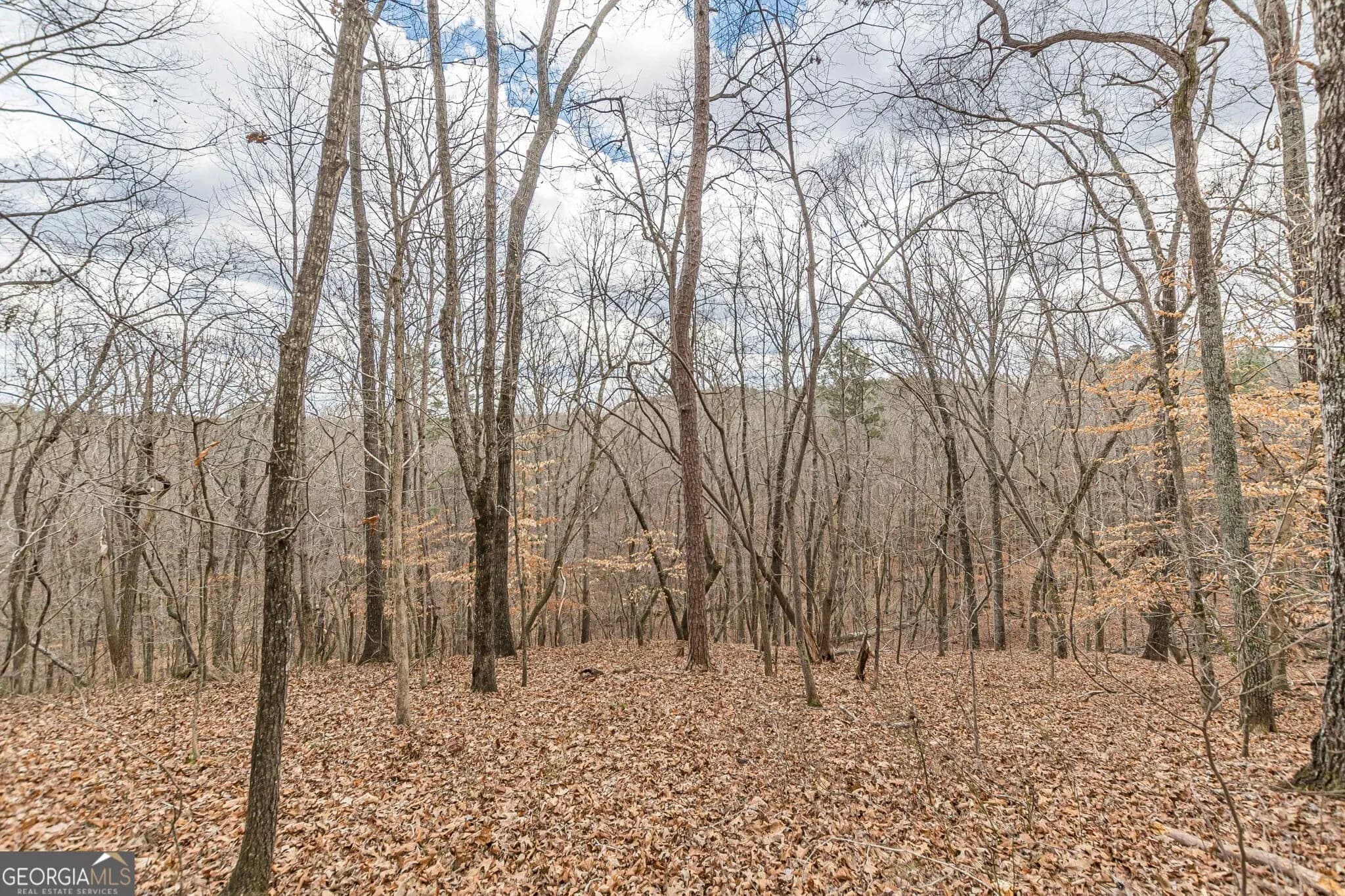 5751 Five Notch Trl — photo 4 of 38