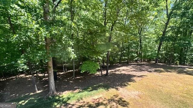 7032 Camp Falls Ct — photo 37 of 45