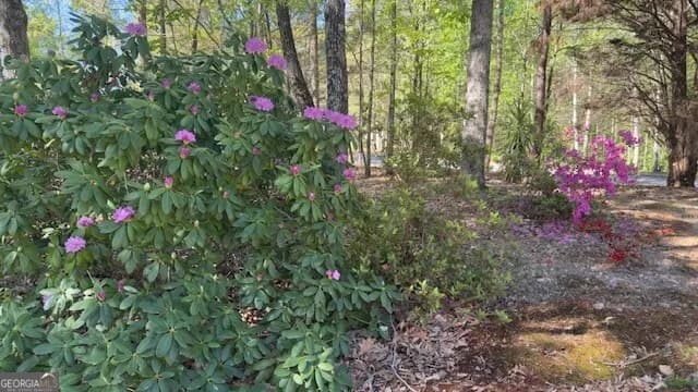 7032 Camp Falls Ct — photo 30 of 45