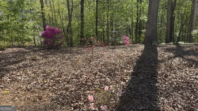 7032 Camp Falls Ct — photo 31 of 45