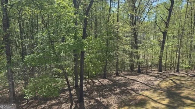 7032 Camp Falls Ct — photo 27 of 45