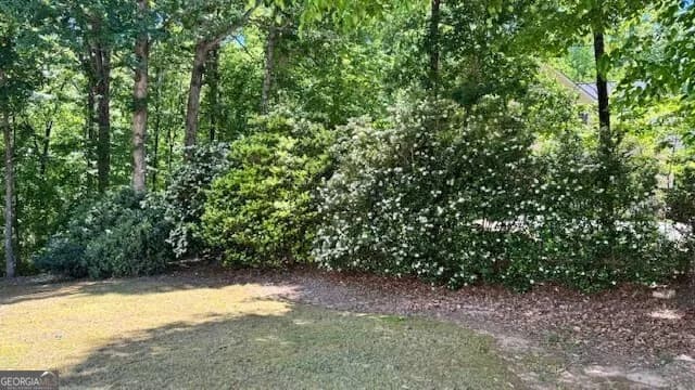 7032 Camp Falls Ct — photo 38 of 45