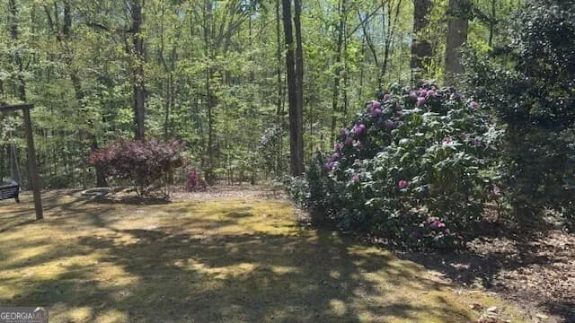 7032 Camp Falls Ct — photo 28 of 45