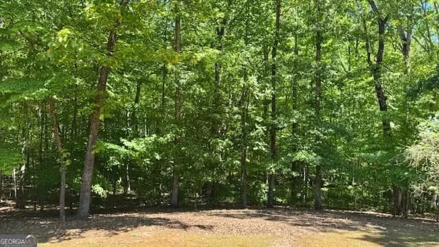 7032 Camp Falls Ct — photo 32 of 45