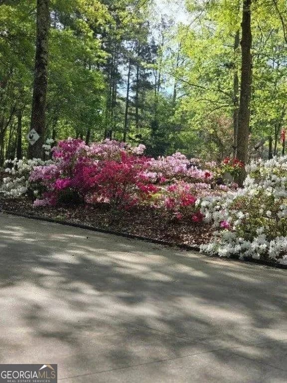 5419 Tyree Rd — photo 56 of 78
