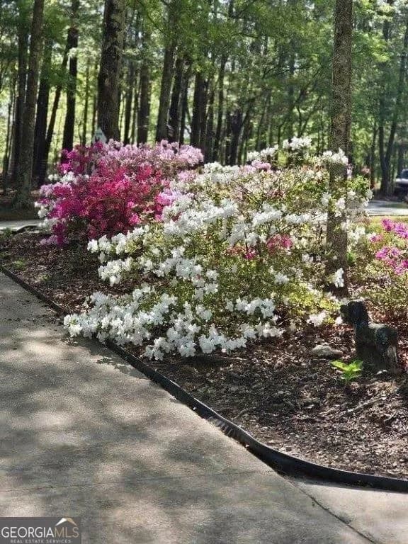 5419 Tyree Rd — photo 49 of 78