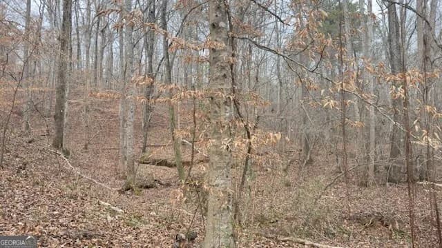00 Lot2 N. Helton Rd — photo 5 of 7