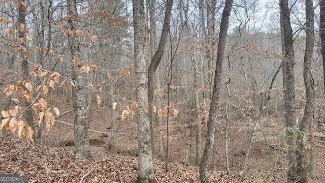 00 Lot3 N. Helton Rd — photo 8 of 8
