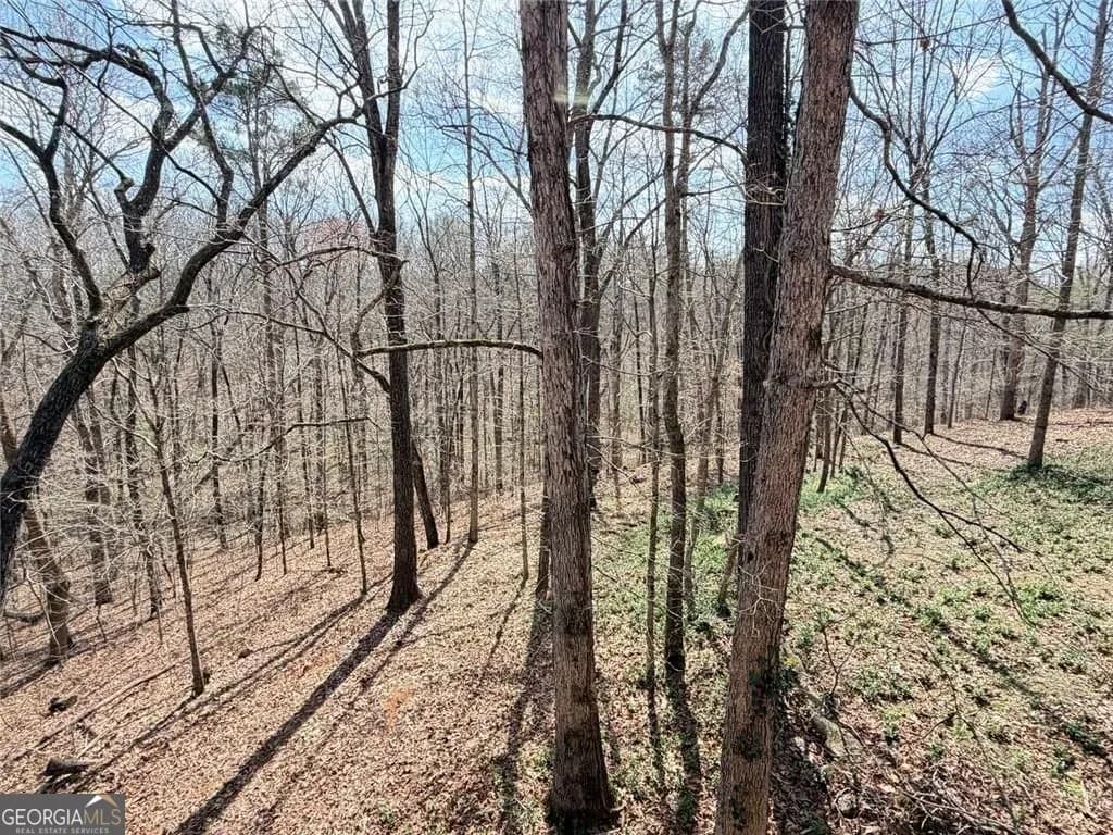 9011 Highpoint Rd — photo 56 of 69
